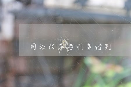 司法改革与刑事错判 司法改革与刑事错判