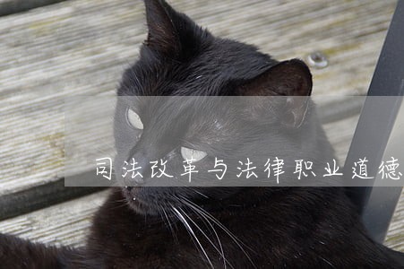 司法改革与法律职业道德 司法改革与法律职业道德