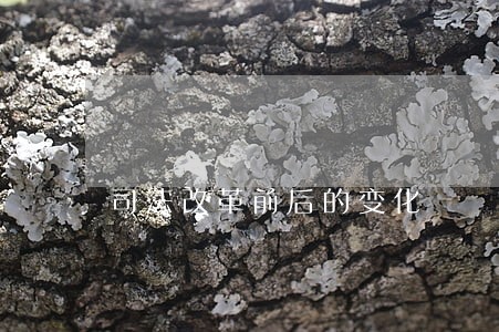 司法改革前后的变化 司法改革前后的变化
