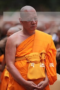 司法改革后事业编制的人上海
