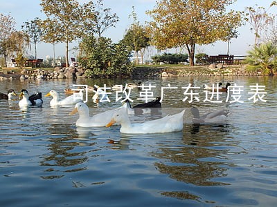 司法改革广东进度表 司法改革广东进度表