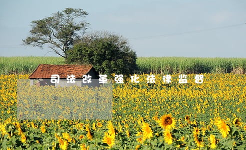 司法改革强化法律监督