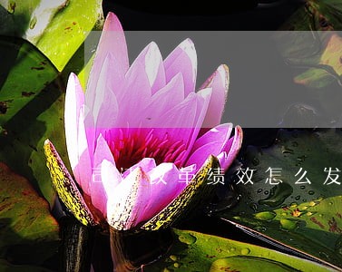 司法改革绩效怎么发放