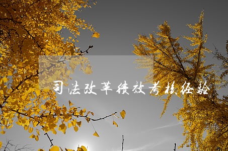 司法改革绩效考核经验 司法改革绩效考核经验