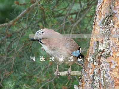 司法改革诚点省