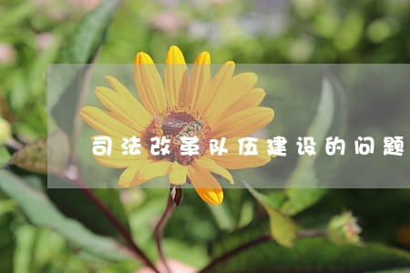 司法改革队伍建设的问题和建议 司法改革队伍建设的问题和建议