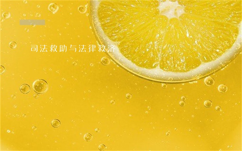 司法救助与法律救济