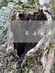 司法救助会议纪要 司法救助会议纪要