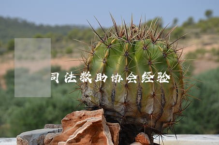 司法救助协会经验 司法救助协会经验