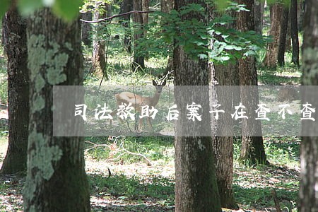 司法救助后案子在查不查 司法救助后案子在查不查