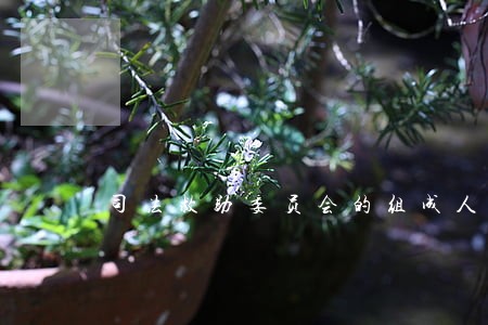 司法救助委员会的组成人员 司法救助委员会的组成人员