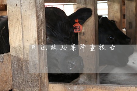 司法救助案评查报告 司法救助案评查报告