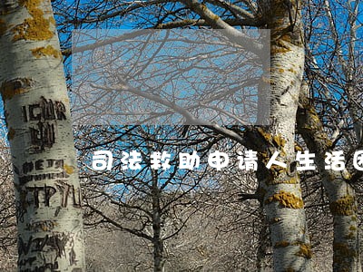 司法救助申请人生活困难证明 司法救助申请人生活困难证明