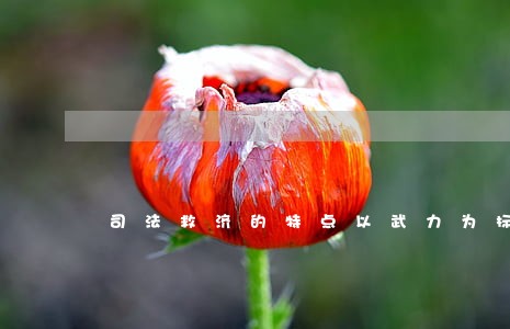 司法救济的特点以武力为标准 司法救济的特点以武力为标准