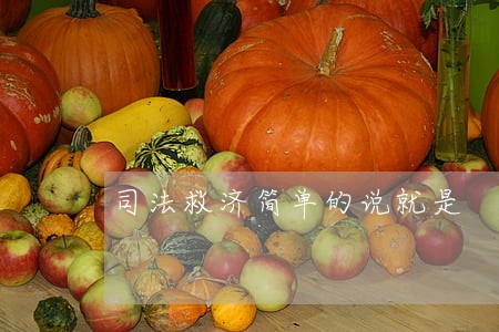 司法救济简单的说就是