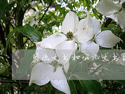 司法文书和公证文书区别 司法文书和公证文书区别