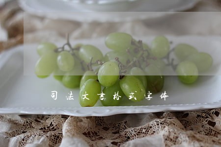 司法文书格式字体