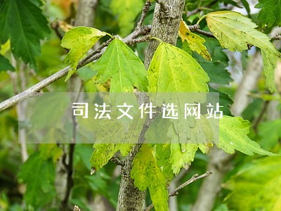 司法文件选网站 司法文件选网站