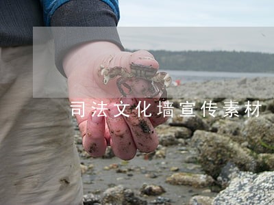 司法文化墙宣传素材 司法文化墙宣传素材