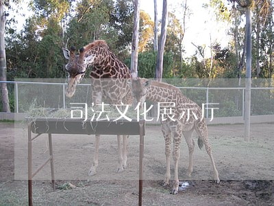 司法文化展示厅