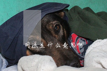 司法是什么意思啊 司法是什么意思啊