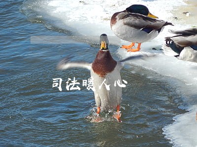 司法暖人心 司法暖人心