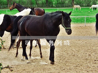 司法服务列项 司法服务列项