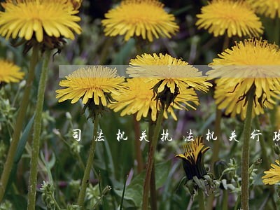司法机关执法机关行政机关 司法机关执法机关行政机关