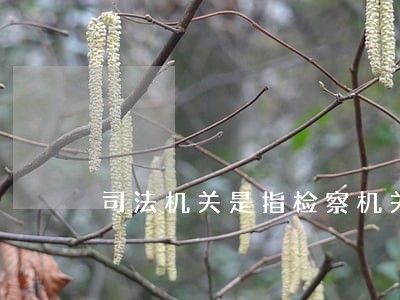 司法机关是指检察机关和什么 司法机关是指检察机关和什么