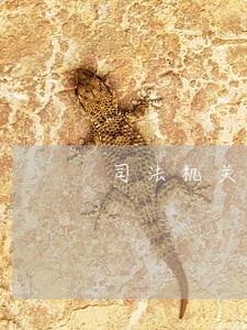 司法机关由人大产生吗 司法机关由人大产生吗