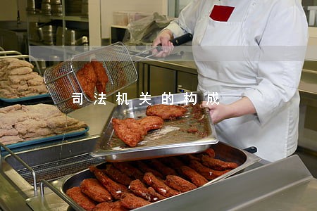 司法机关的构成 司法机关的构成