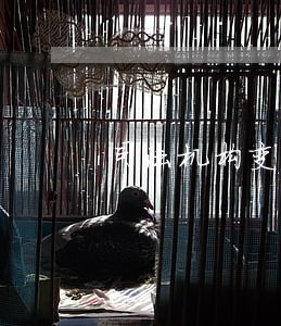 司法机构变化