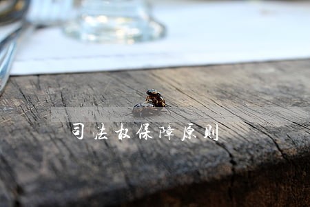 司法权保障原则 司法权保障原则
