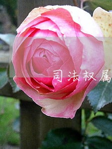 司法权属于什么机关