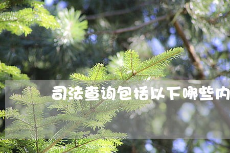司法查询包括以下哪些内容 司法查询包括以下哪些内容