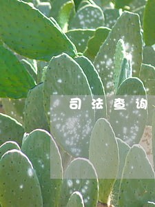 司法查询微信里的存款