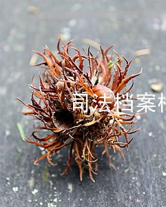 司法档案档号安徽 司法档案档号安徽