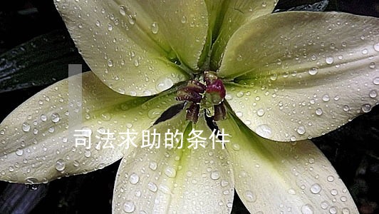 司法求助的条件 司法求助的条件