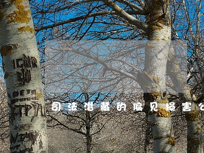 司法潜藏的偏见损害公正