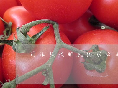 司法热线解民忧求公正 司法热线解民忧求公正