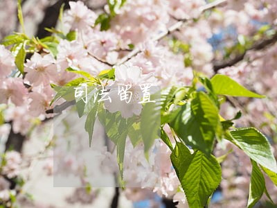 司法留置 司法留置