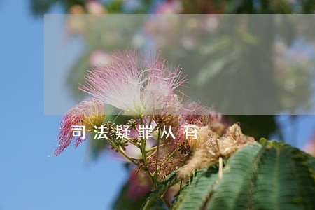 司法疑罪从有 司法疑罪从有