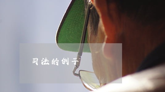 司法的例子 司法的例子
