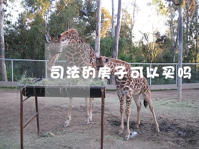 司法的房子可以买吗