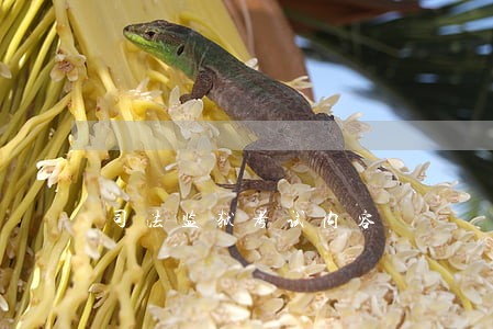 司法监狱考试内容 司法监狱考试内容