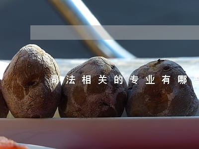 司法相关的专业有哪些专业 司法相关的专业有哪些专业