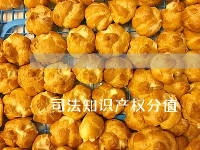 司法知识产权分值