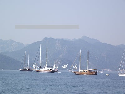 司法知识库 司法知识库