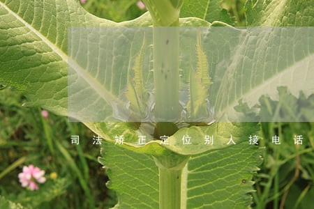 司法矫正定位别人接电话 司法矫正定位别人接电话