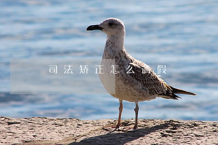 司法矫正怎么请假